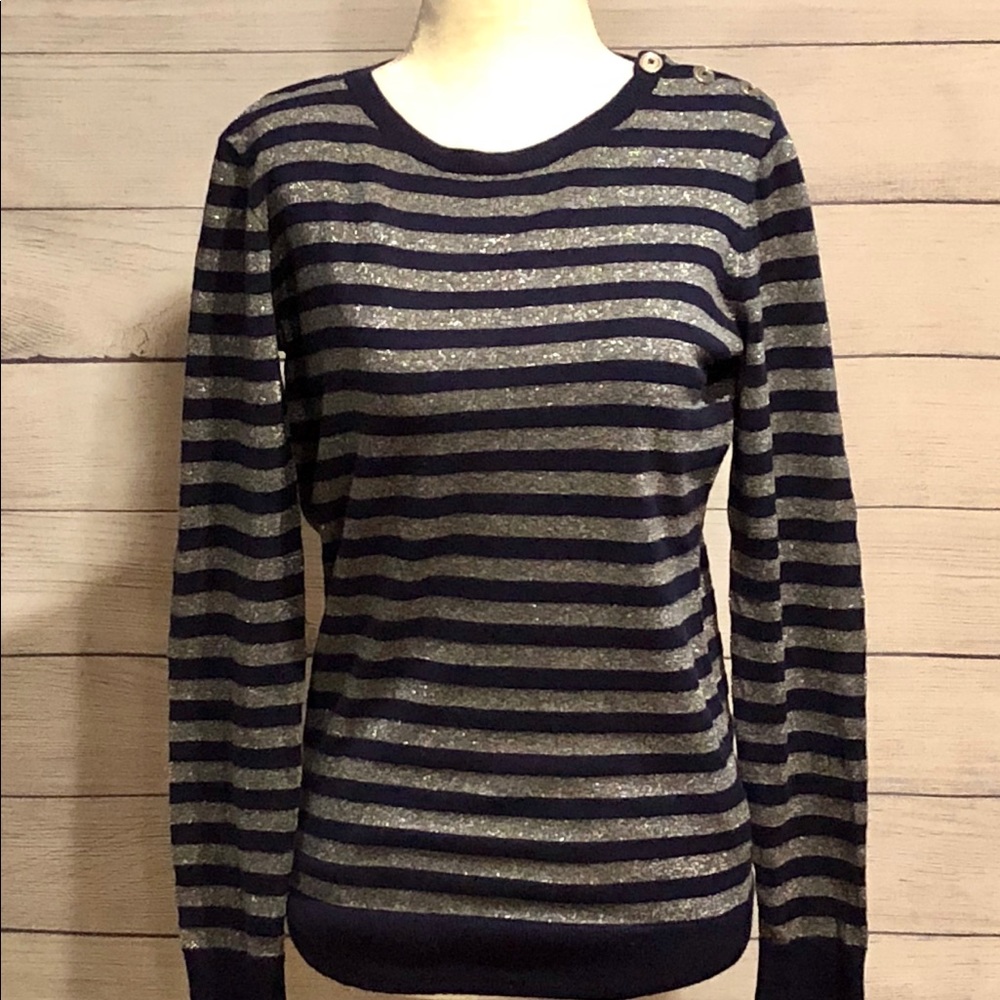Nautica Blue & Sliver Sweater